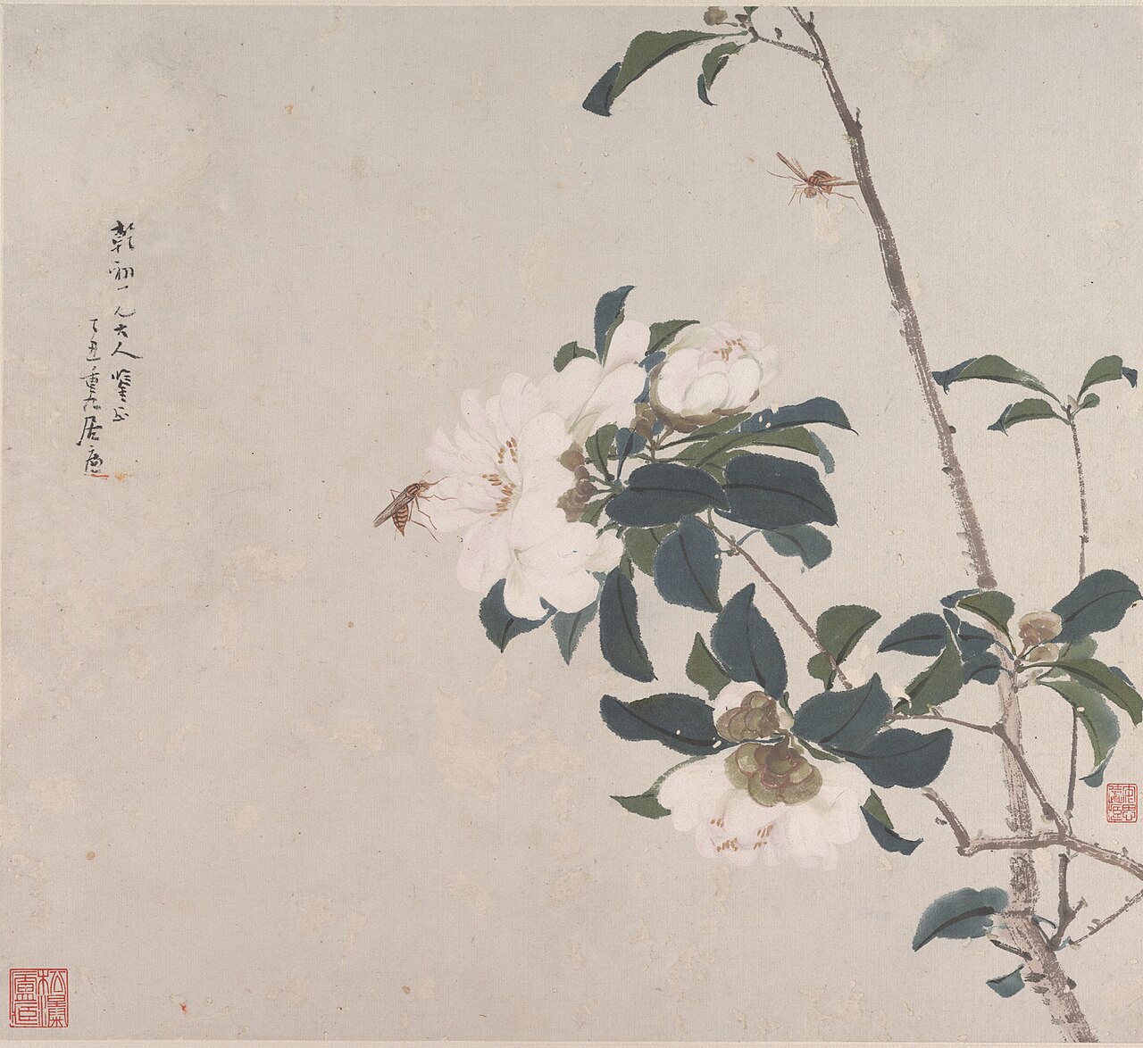 Insects and Flowers by Chu Lien