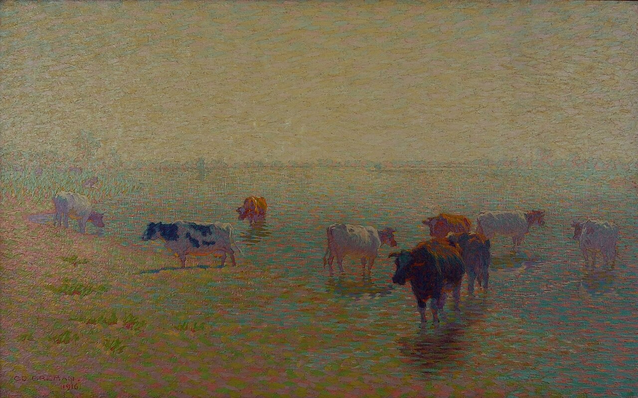 Summer morning at the Rijn nearRhenen by Co Breman