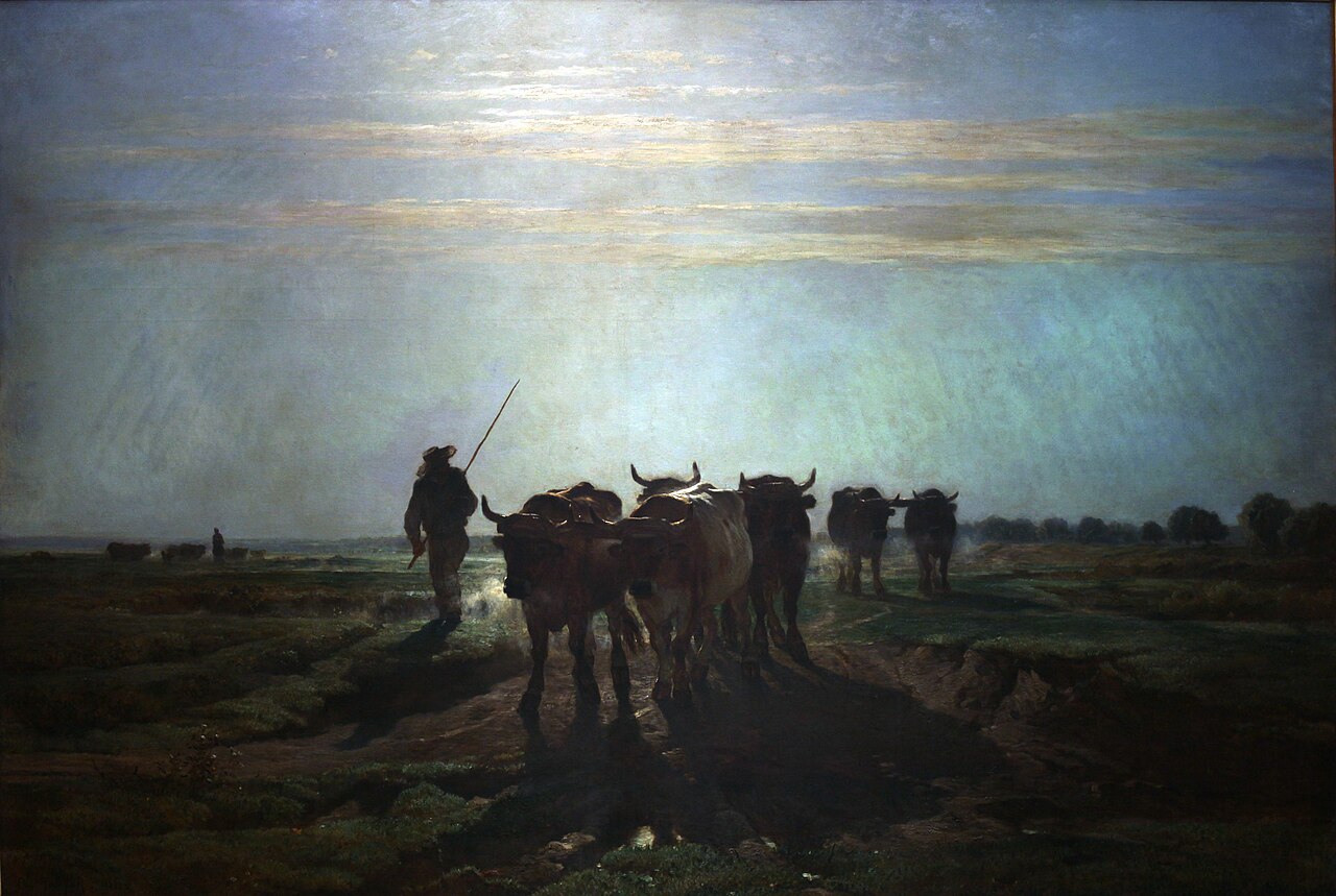 Oxes watching to tillage, morning sky by Constant Troyon