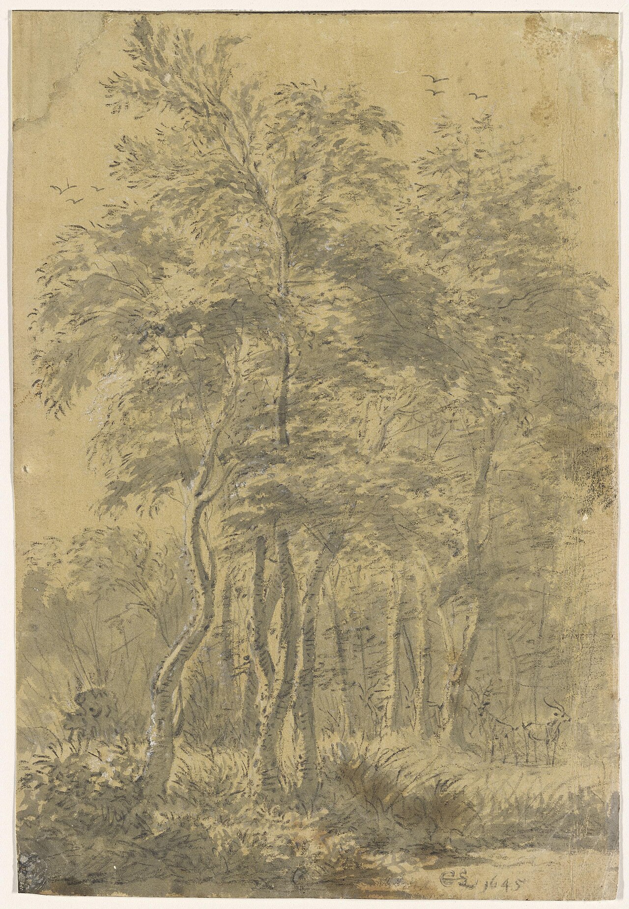 Deciduous Forest by Cornelis Saftleven
