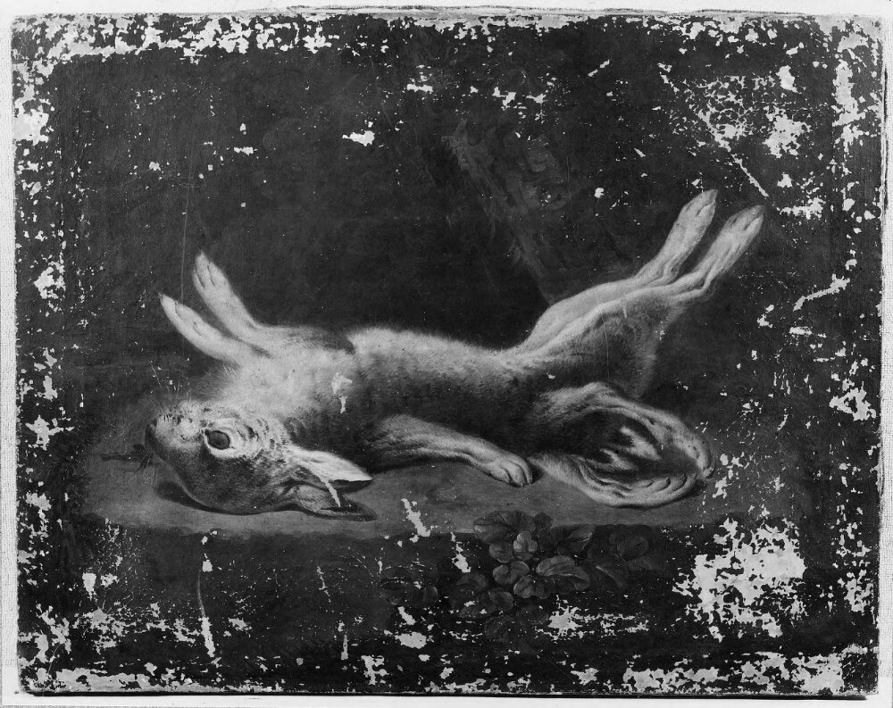 A Dead Malformed Hare by Cornelis van der Meulen