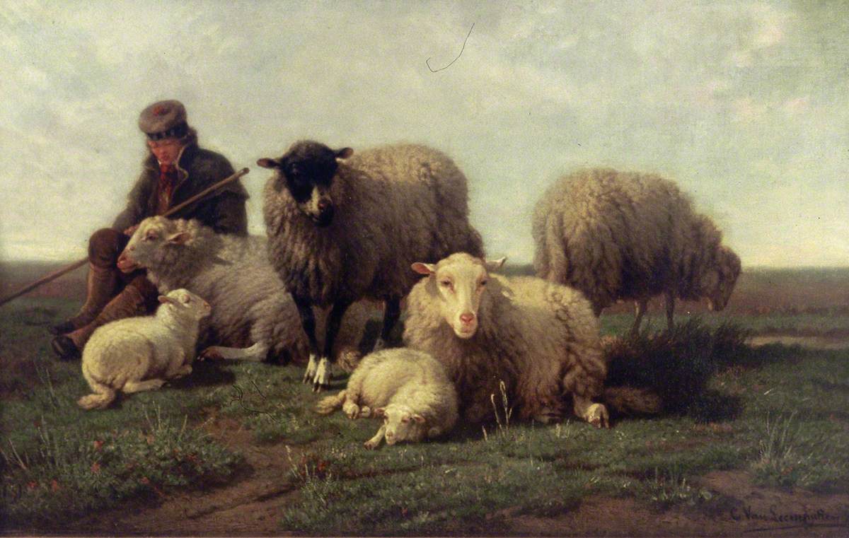 Group of Belgian Sheep by Cornelius Van Leemputten