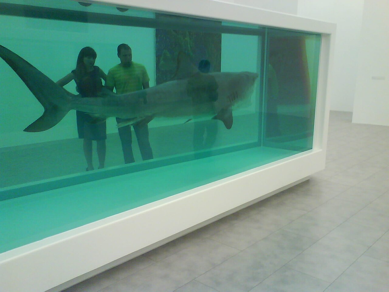 The Physical Impossibility of Death in the Mind of Someone Living by Damien Hirst