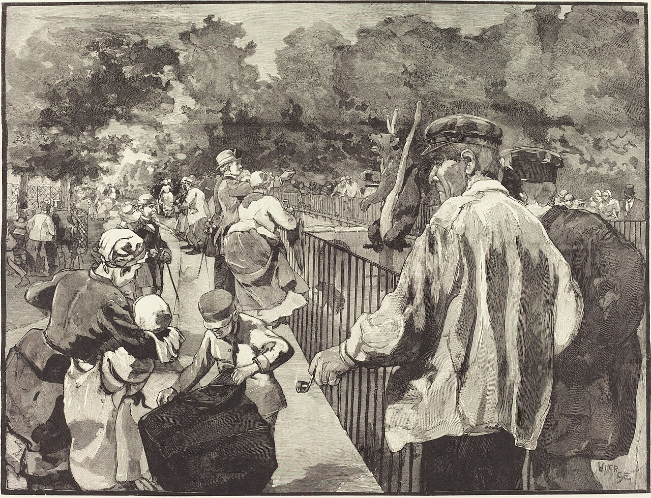 Au Jardin des Plantes by Daniel Vierge