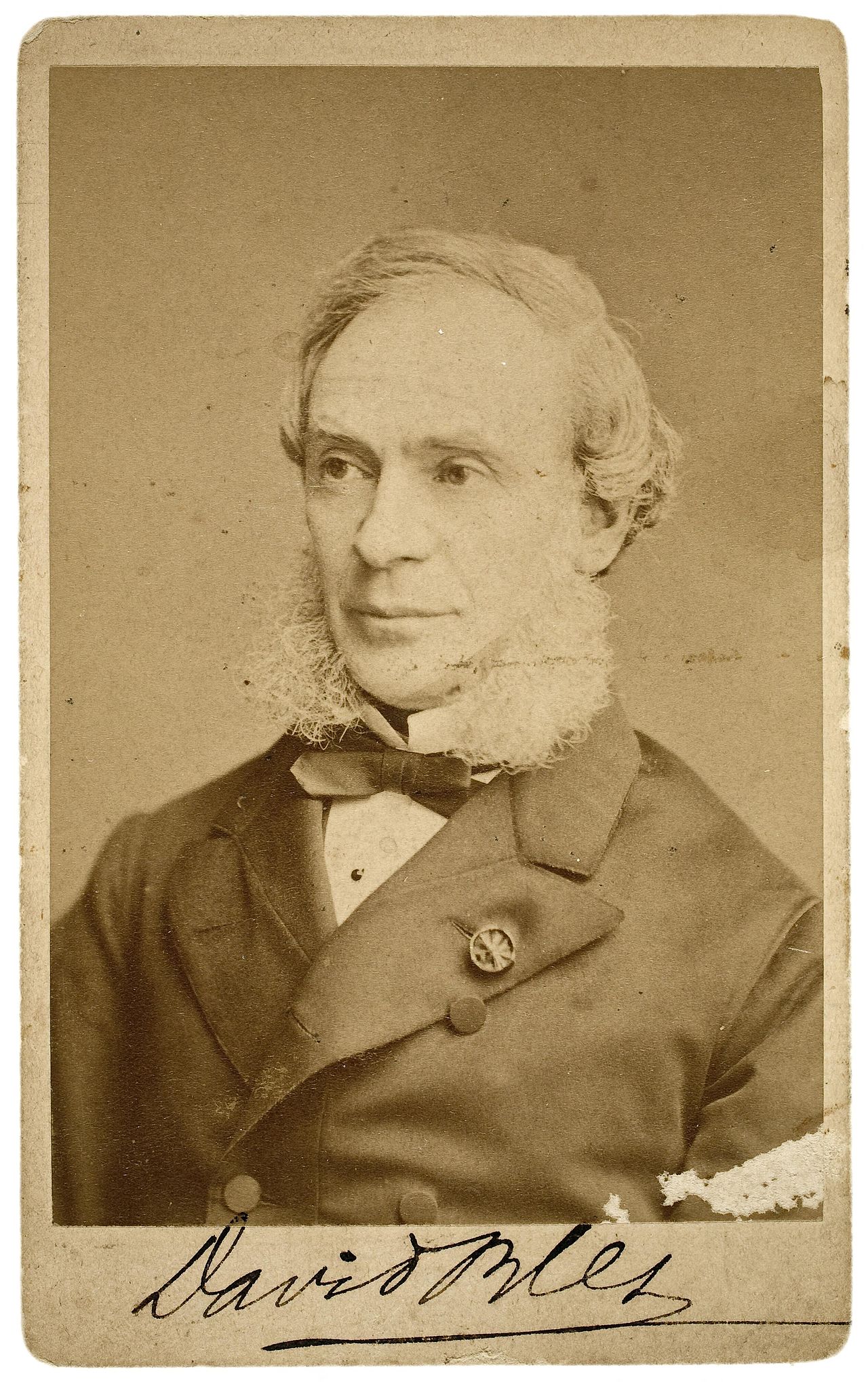 Portrait of David Bles