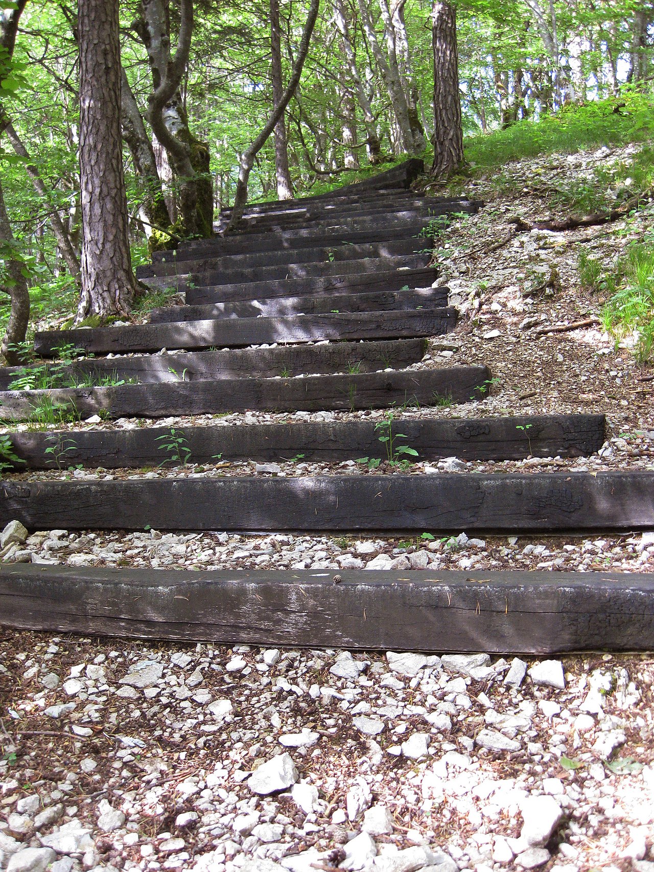 46 Charred Steps by David Nash