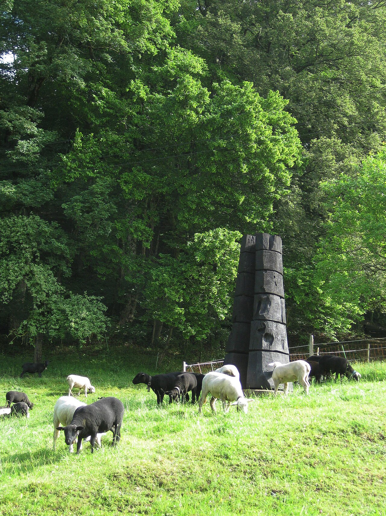 Treshold Column by David Nash