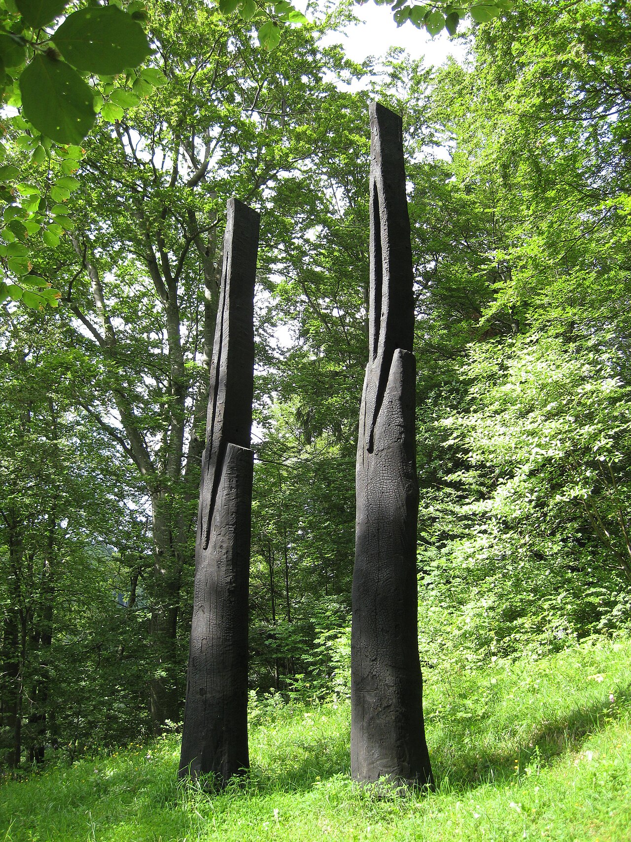 Two Charred Vessels by David Nash
