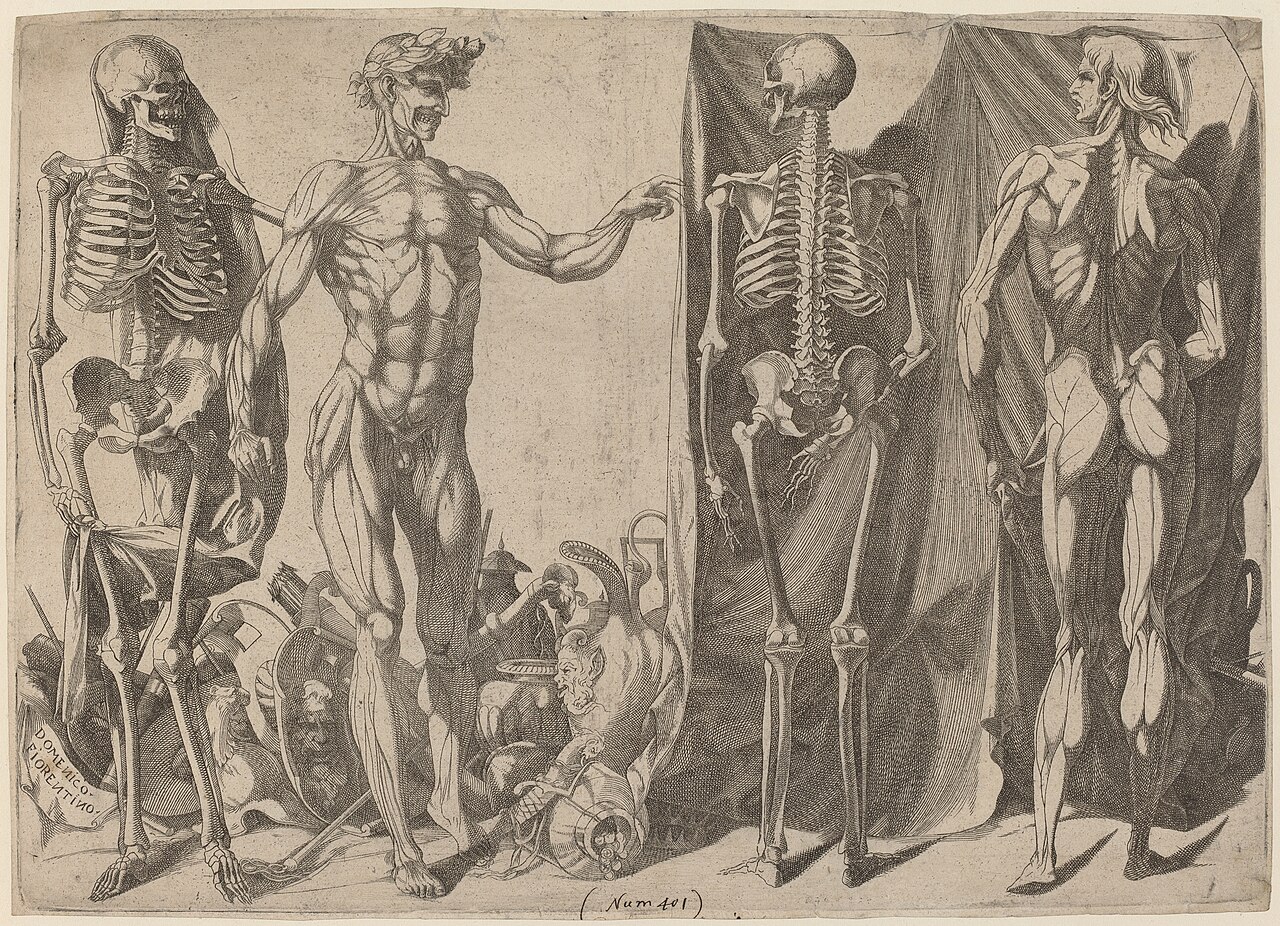 Squelettes et Ecorches by Domenico del Barbiere