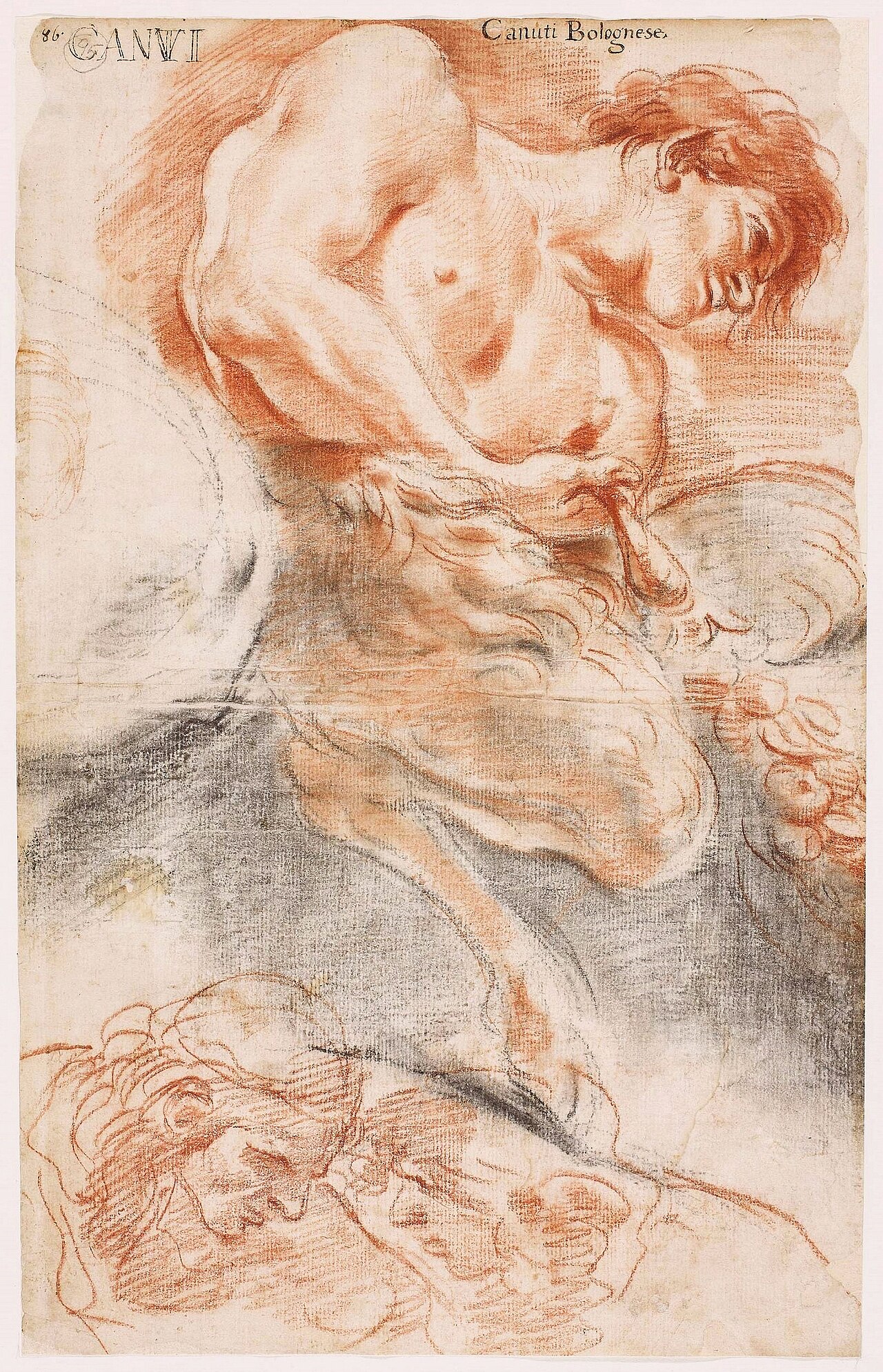 Study of a faun. by Domenico Maria Canuti