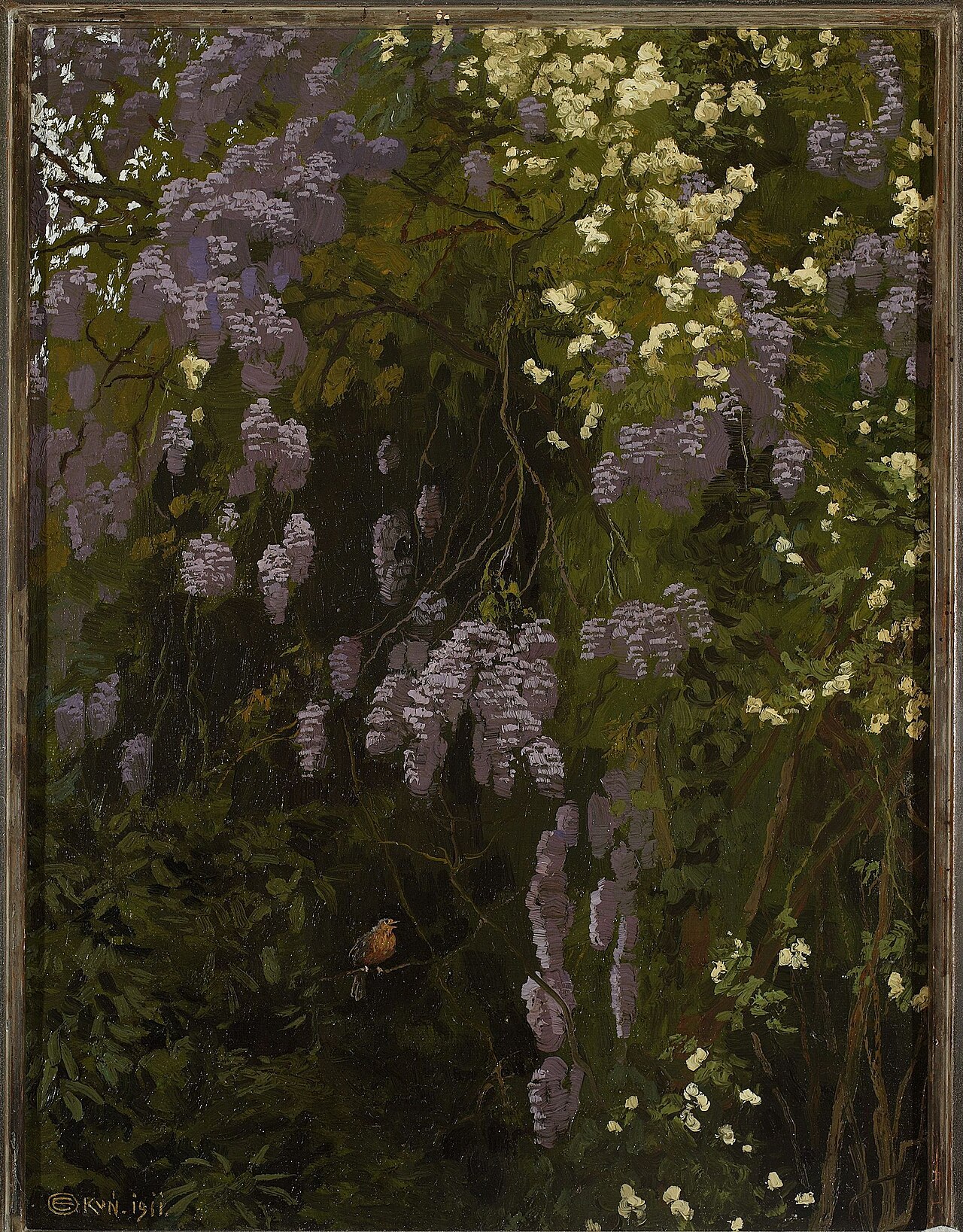 Wisteria in bloom. by Edward Okuń