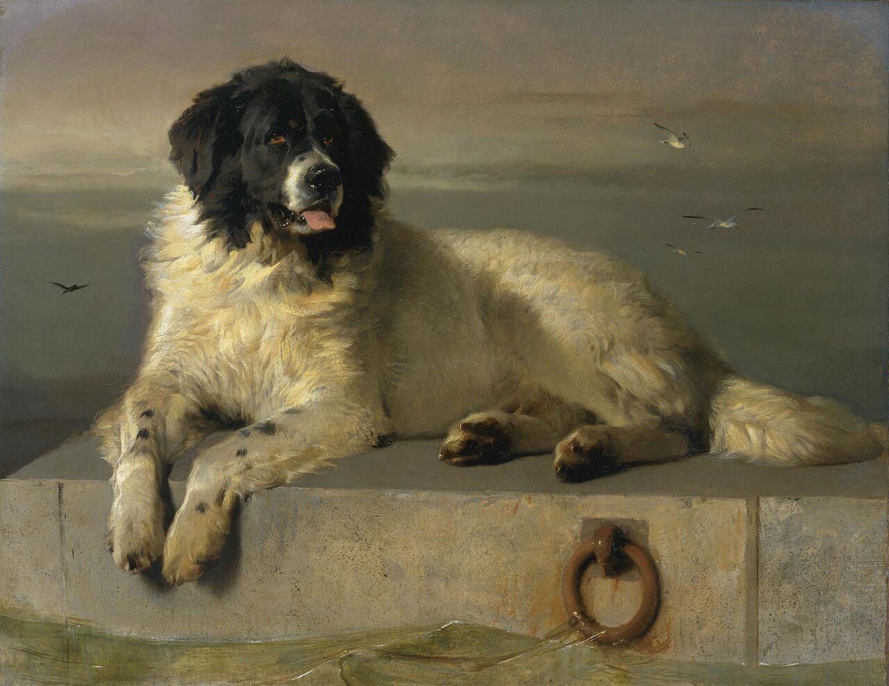 A Distinguished Member of the Humane Society by Edwin Landseer
