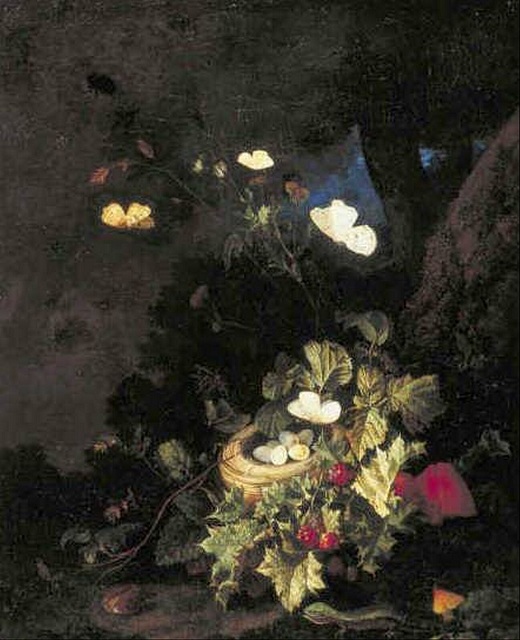 Bird's nest at the foot of a tree by Elias van den Broeck