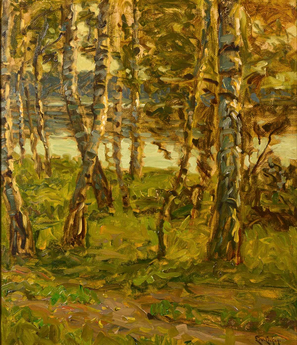 Birches on the shore of the Bodden by Elisabeth von Eicken
