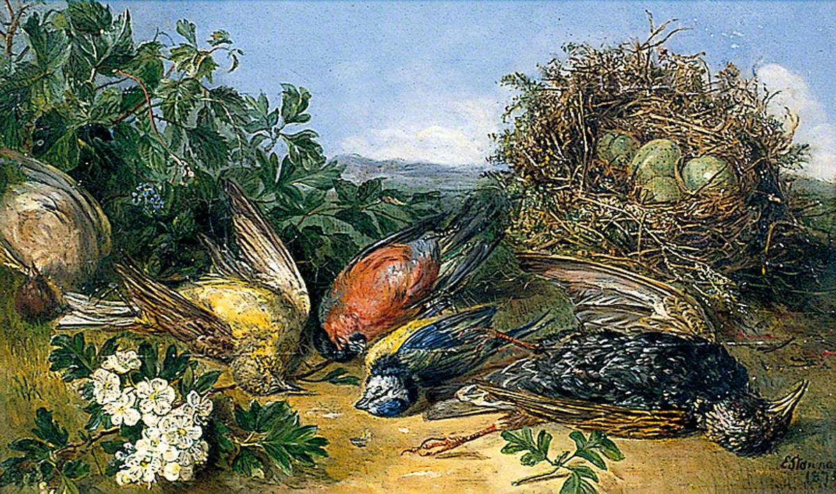 Dying Birds, Illustration for a Poem by Eloise Harriet Stannard