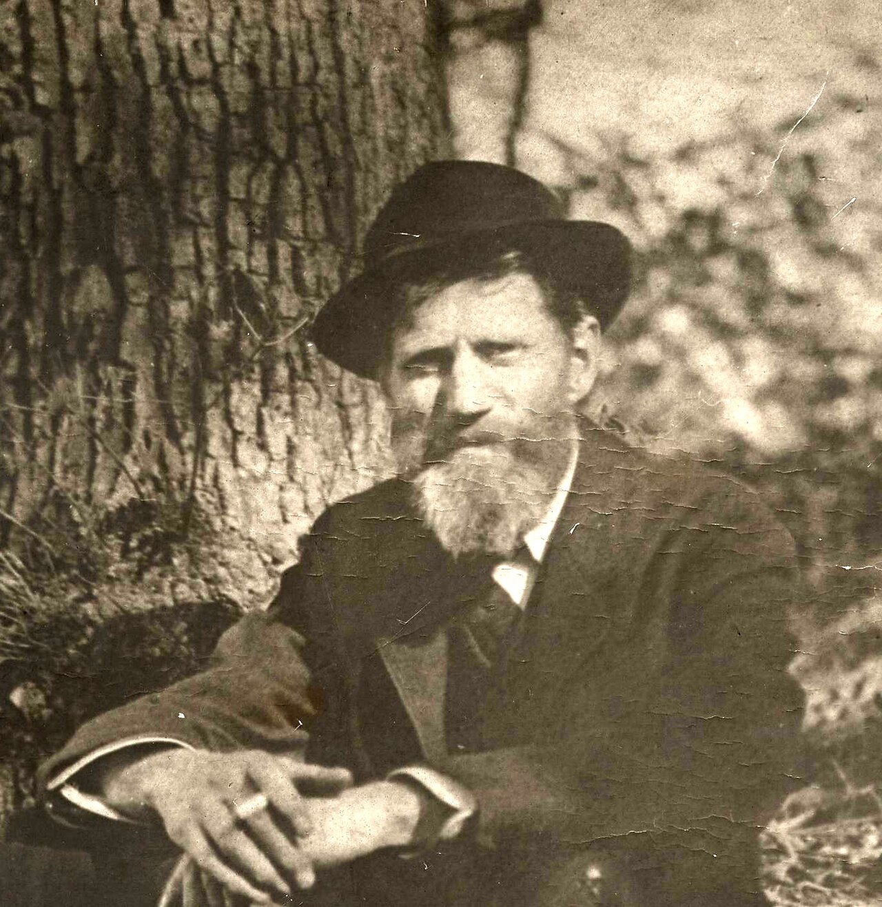 Portrait of Emil Carlsen