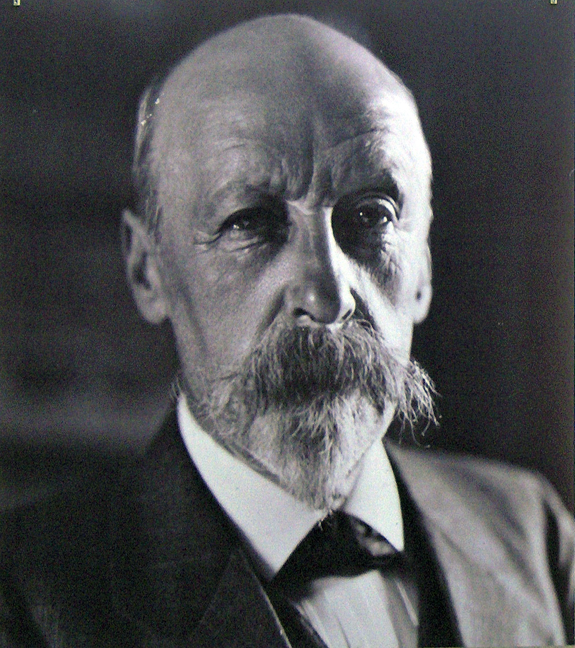 Portrait of Emile Claus