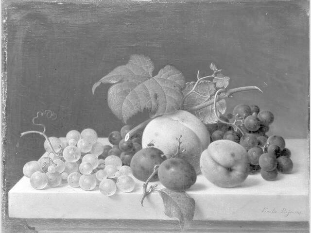 Still Life with Fruit on a Ledge by Emilie Preyer