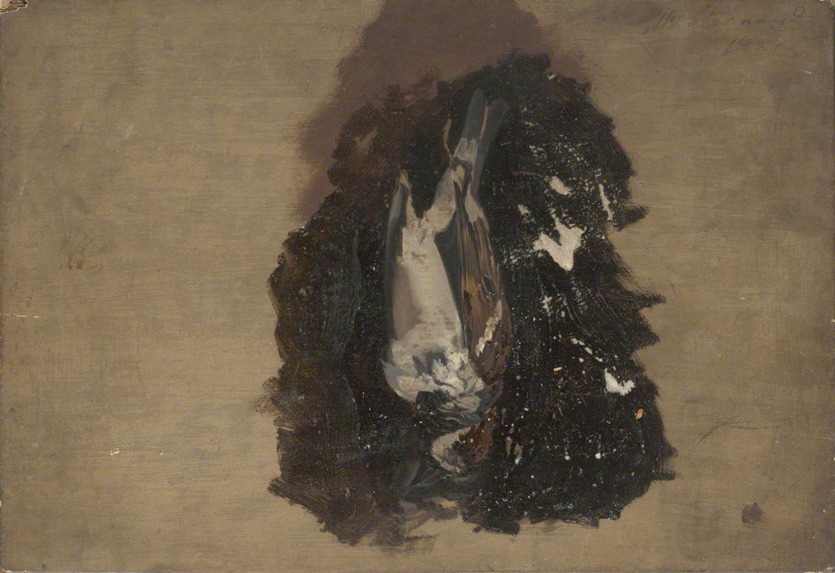A Bird Study by Emily Stannard