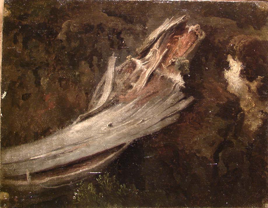 Decaying Trunk. Copy after Cappelen, NG.M.00289-5 by Erik Bodom
