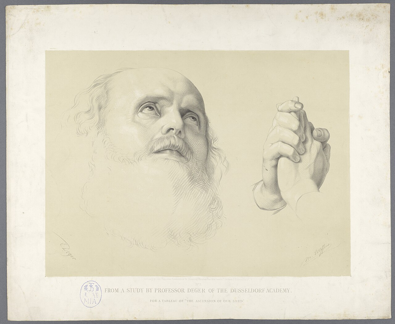 Academic print: head of a bearded man (left) study of folded hands (right) by Ernst Deger