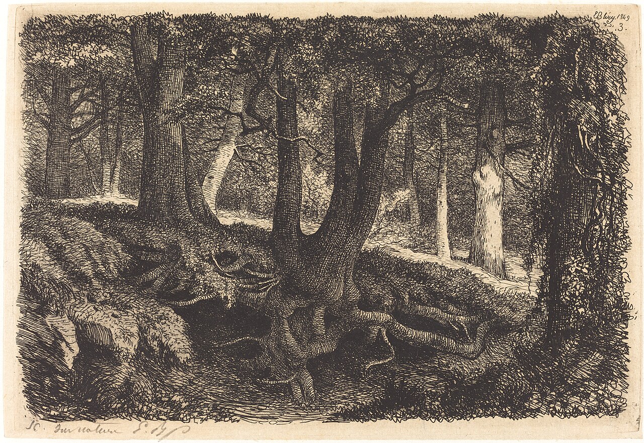 L'arbre aux racines (Tree with Roots) by Eugène Blery