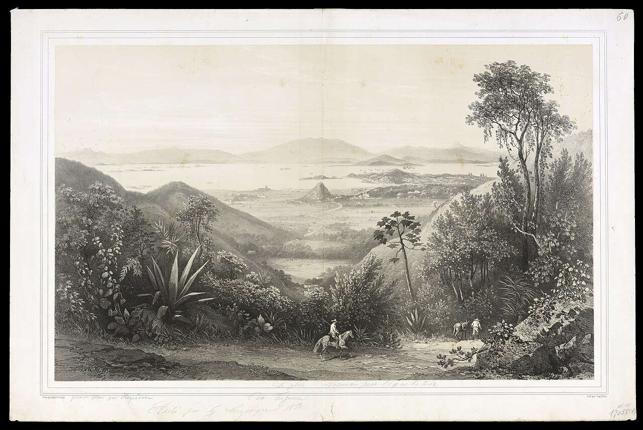(Rio de Janeiro, tomado de Boa-vista da Tijuca) by Eugène Ciceri