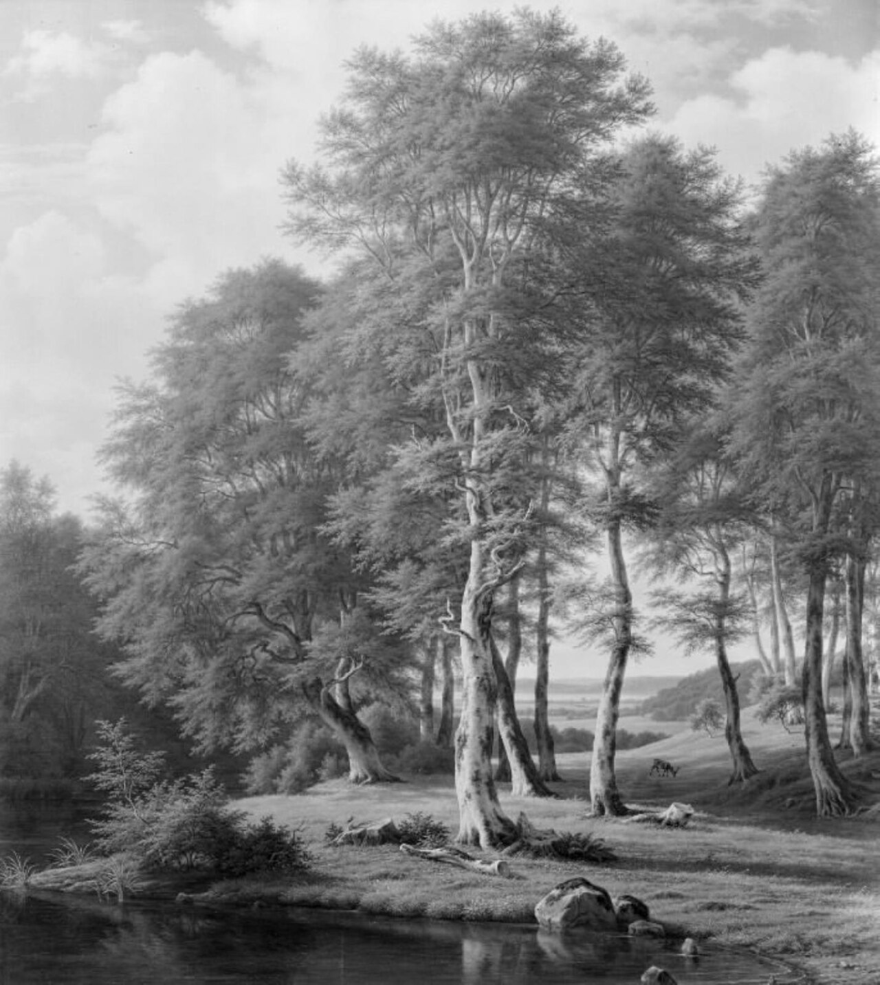 Skovlandskab. Nordsjælland by F.C. Kiærskou
