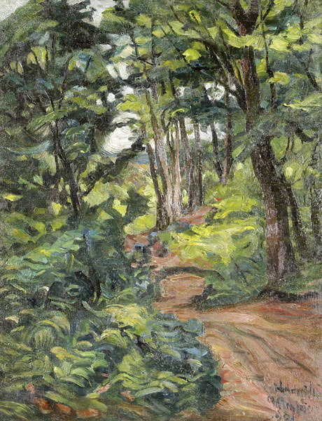 Mátrafüred by Félix Bódog Widder