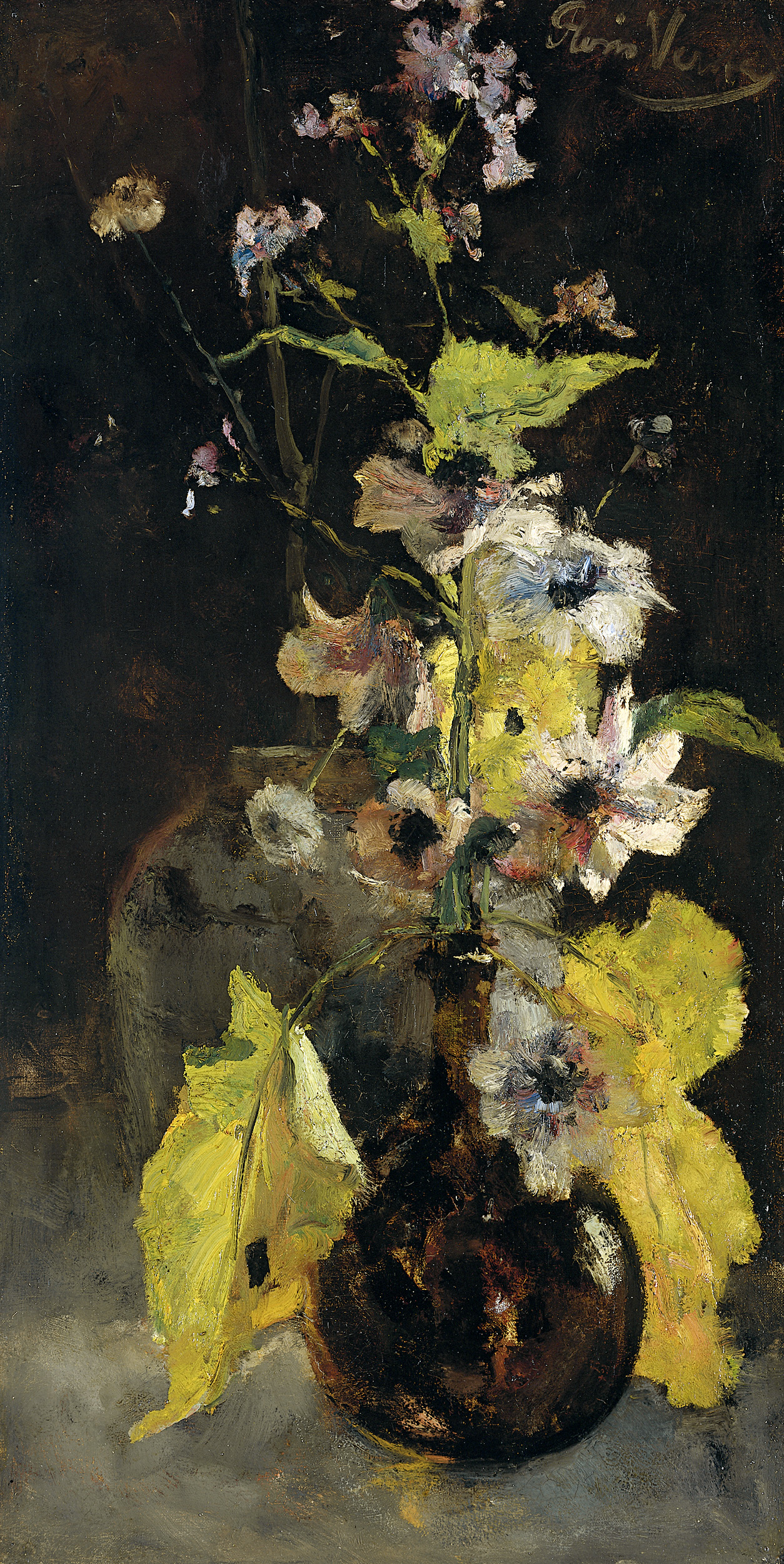 Anemones by Floris Verster
