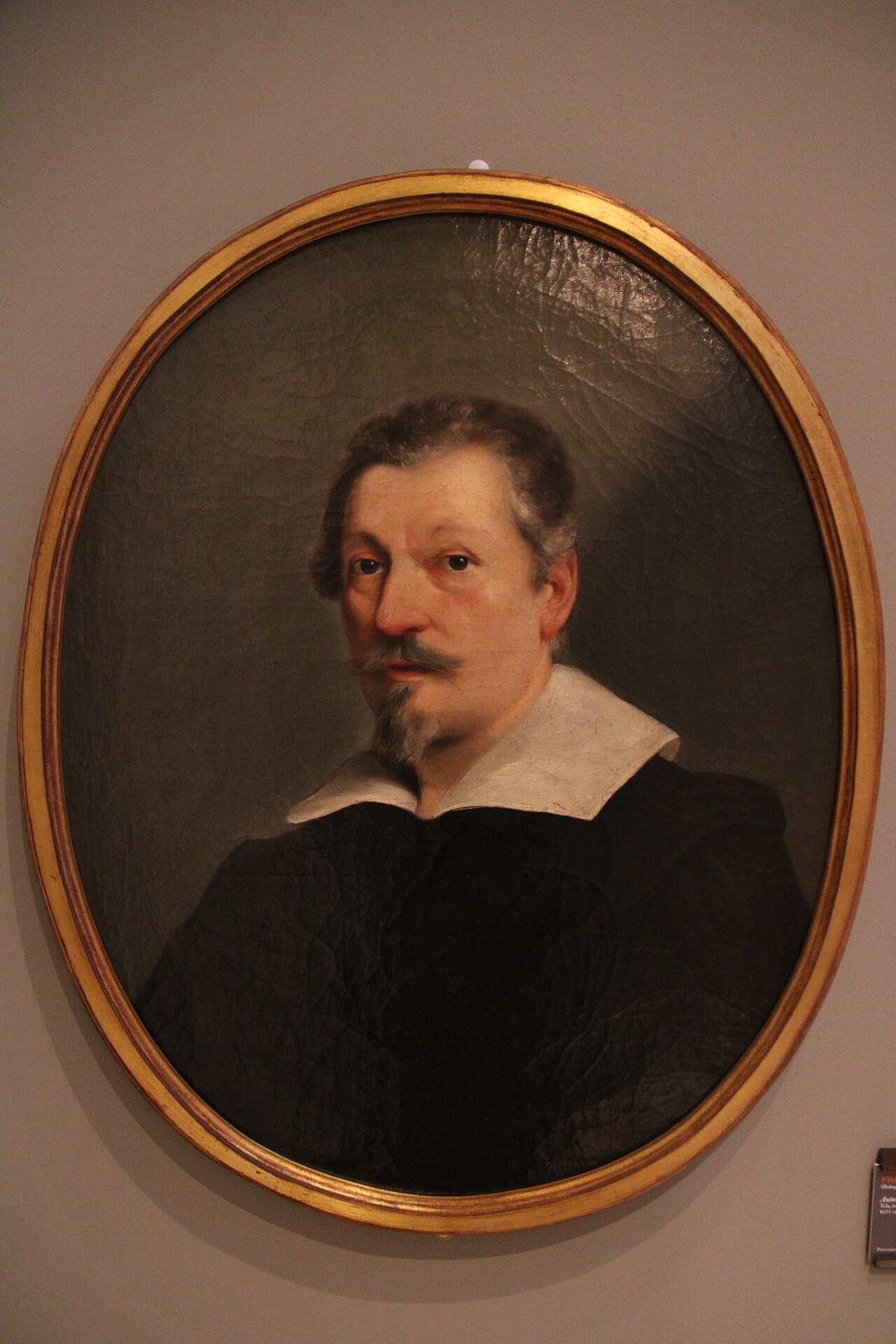 Portrait of Francesco Albani