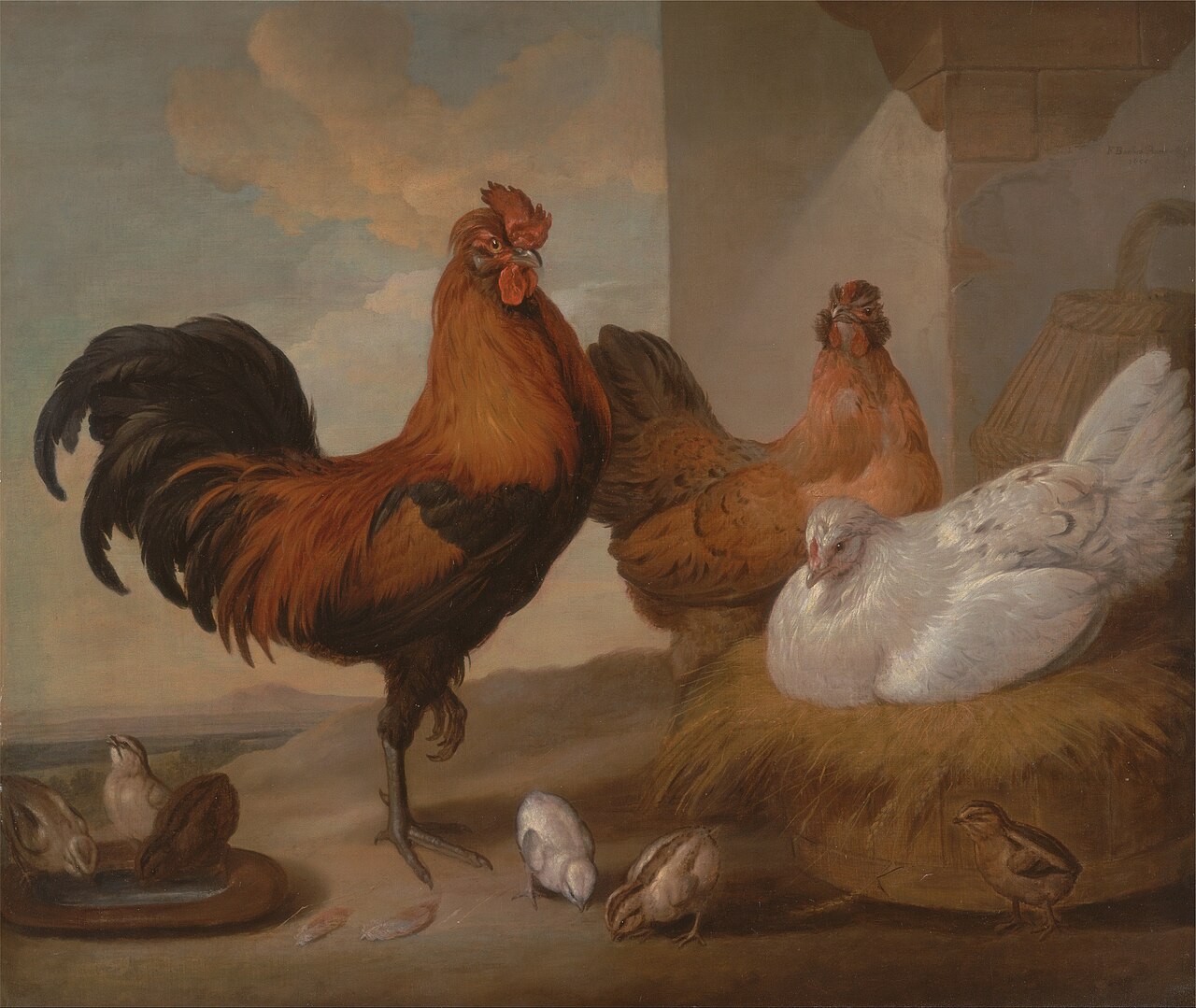 Domestic Cock, Hens, and Chick by Francis Barlow