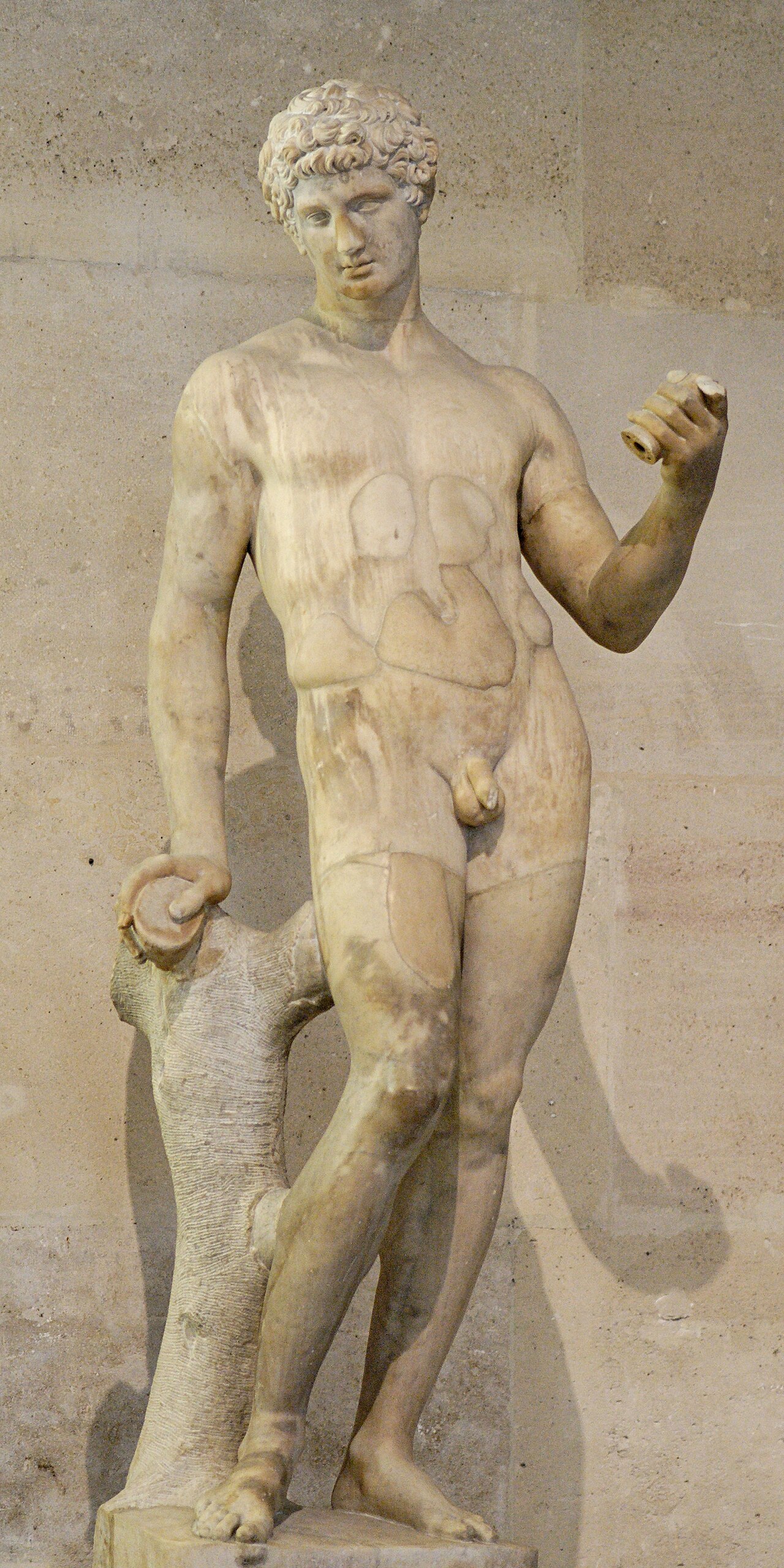 Adonis by François Duquesnoy