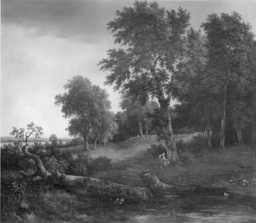 landscape by Franz Steinfeld