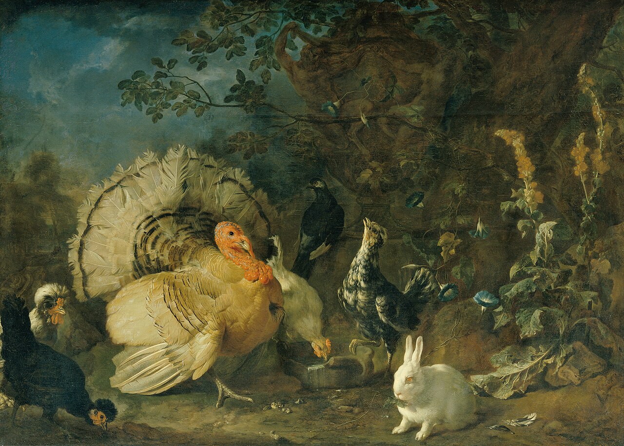 Domestic poultry and rabbit by Franz Werner Tamm