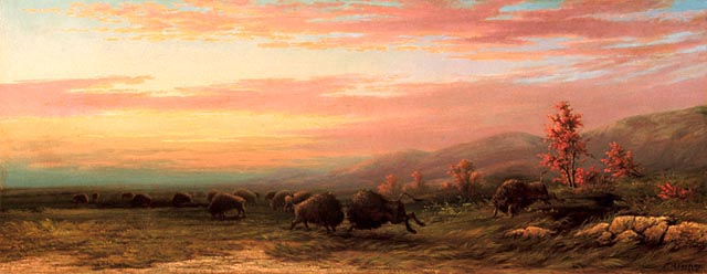 Buffalo in Combat by Frederick Arthur Verner