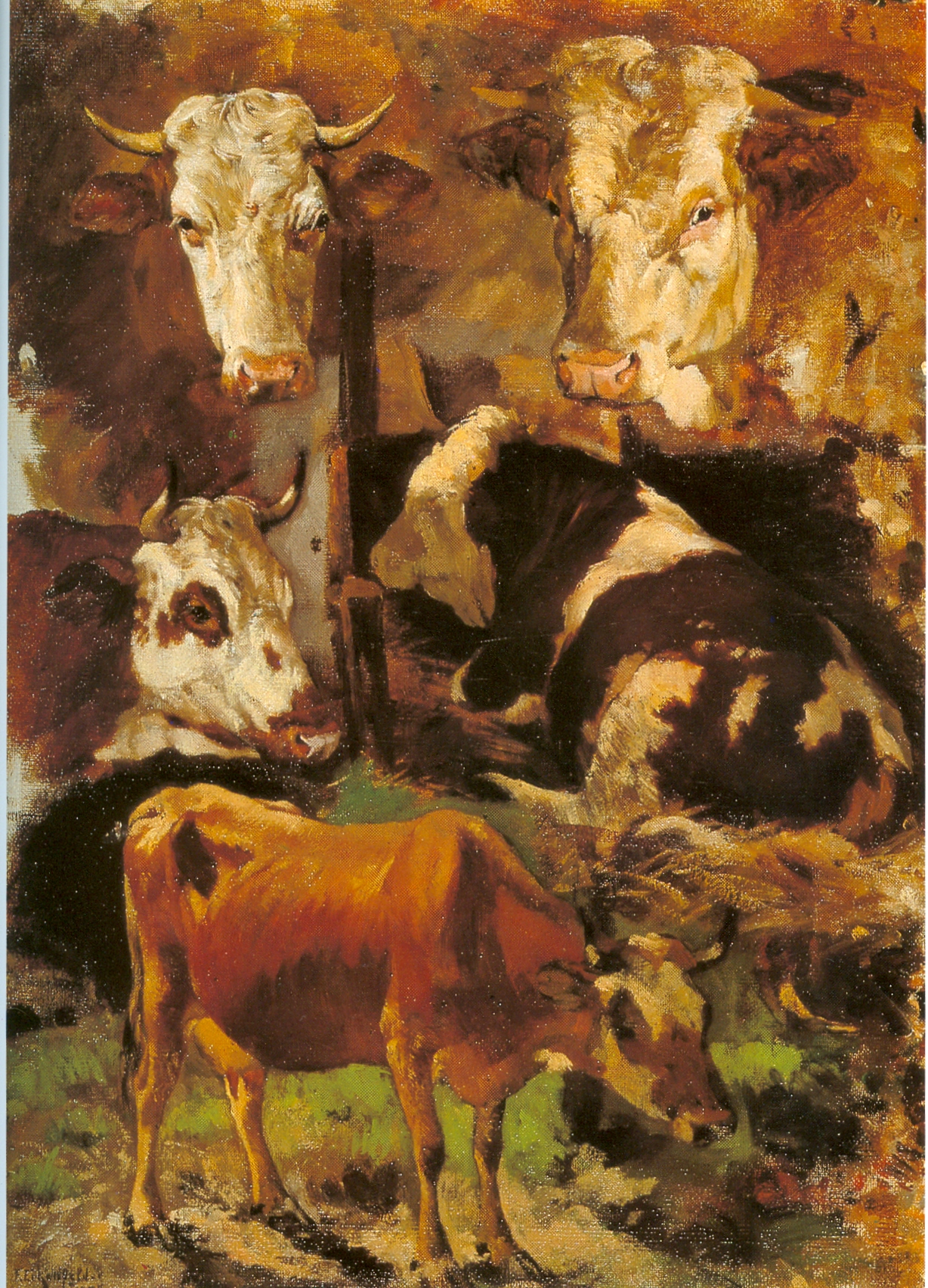 Cows, study by Friedrich Eckenfelder
