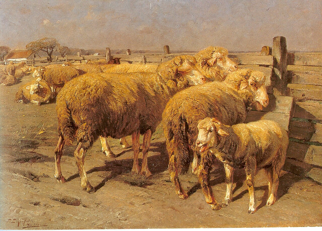 Sheep in the Pen by Friedrich Eckenfelder