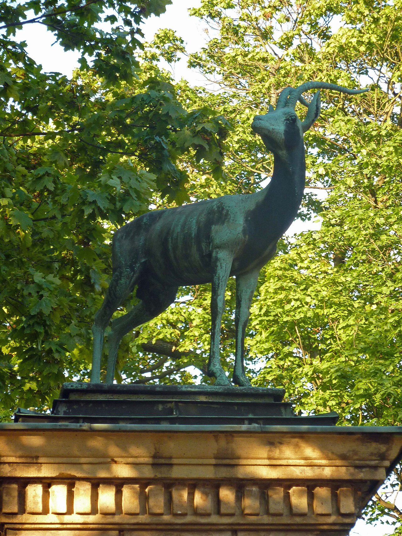 Gazella by Friedrich Wilhelm Wolff