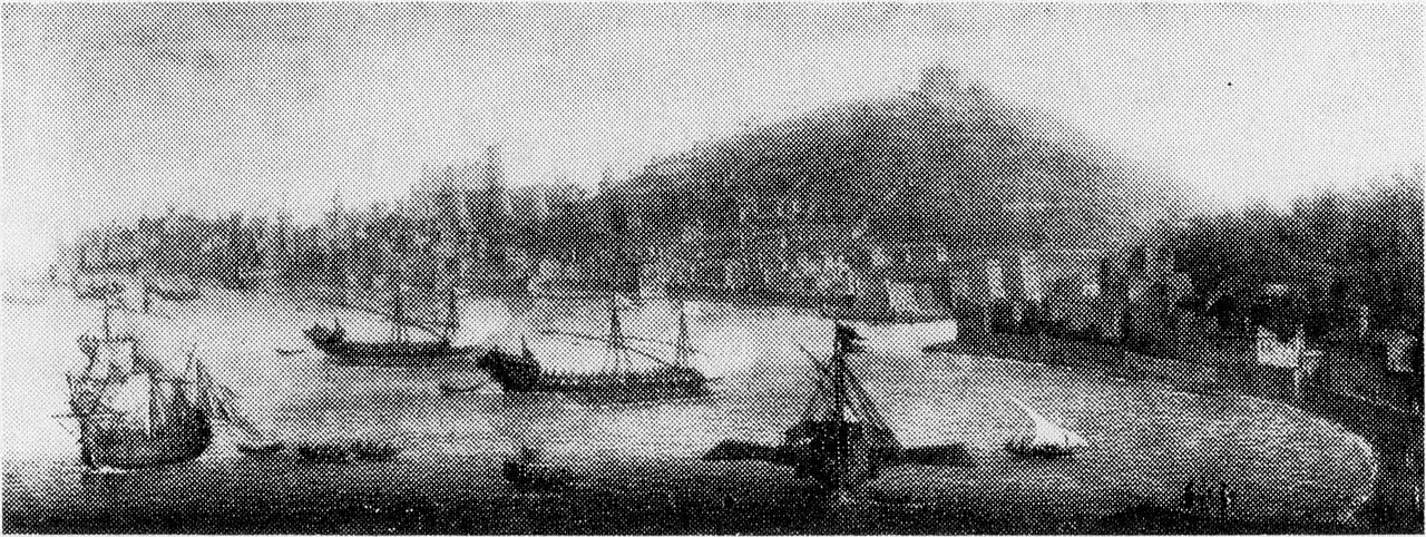 Gezicht op Napels by Gaspar van Wittel