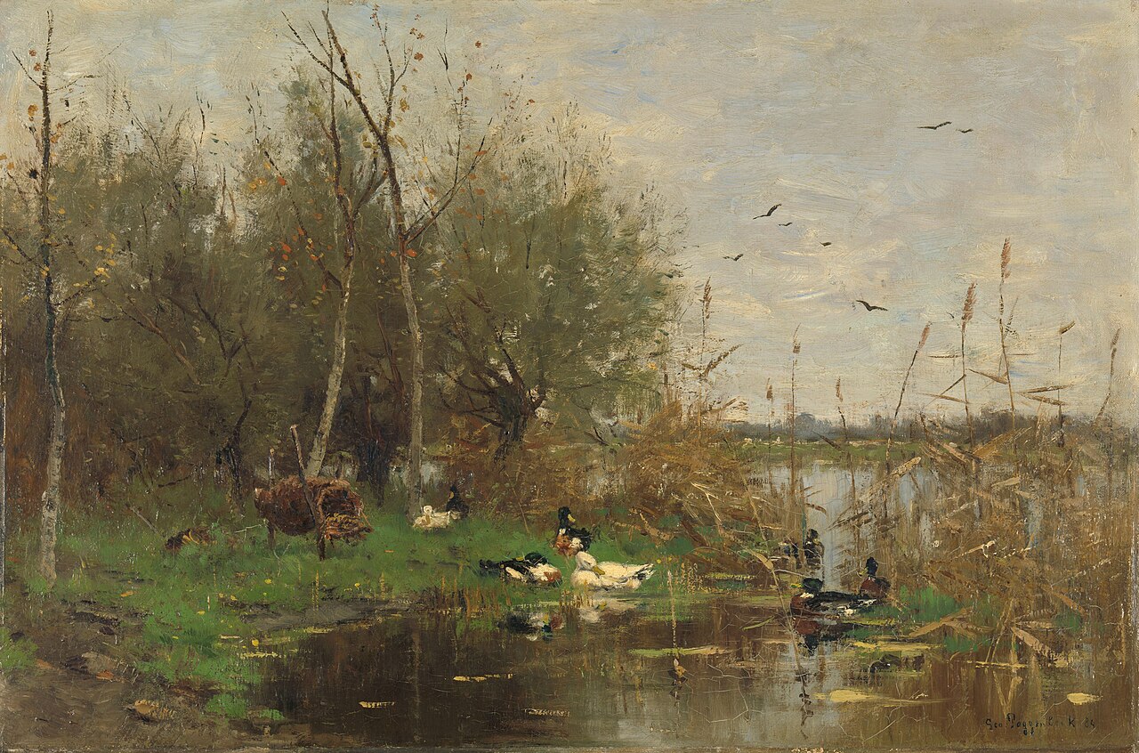 Ducks beside a duck shelter on a ditch by Geo Poggenbeek