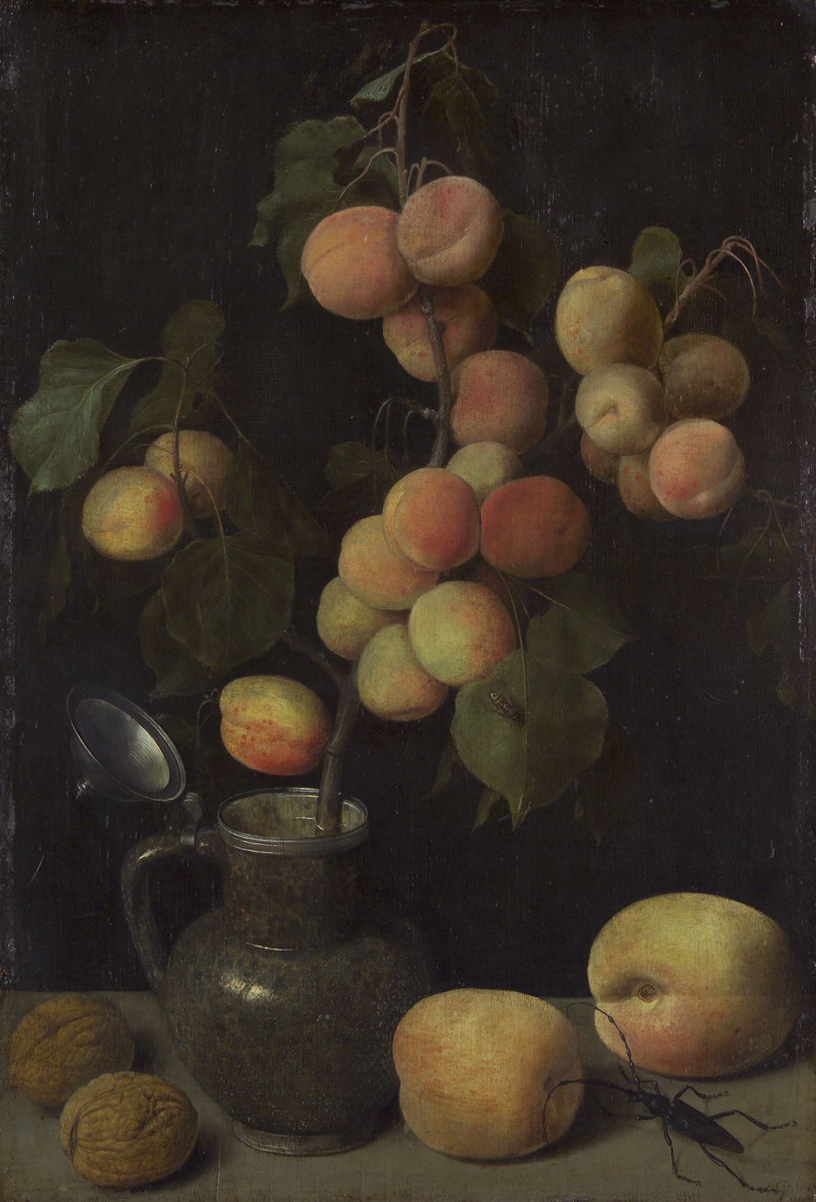 The apricot branch by Georg Flegel