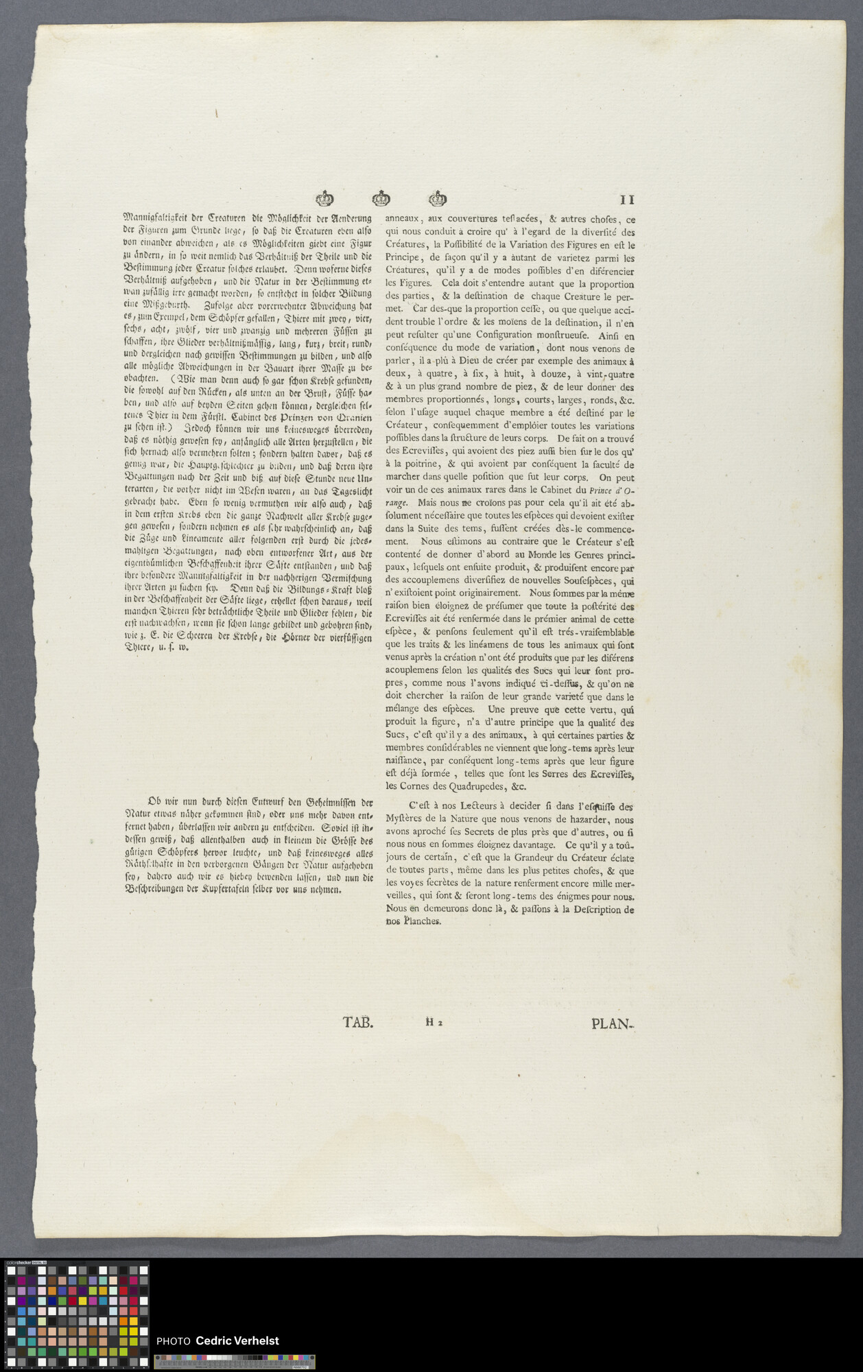 Page 11-12 from Deliciae Naturae Selectae by Georg Wolfgang Knorr