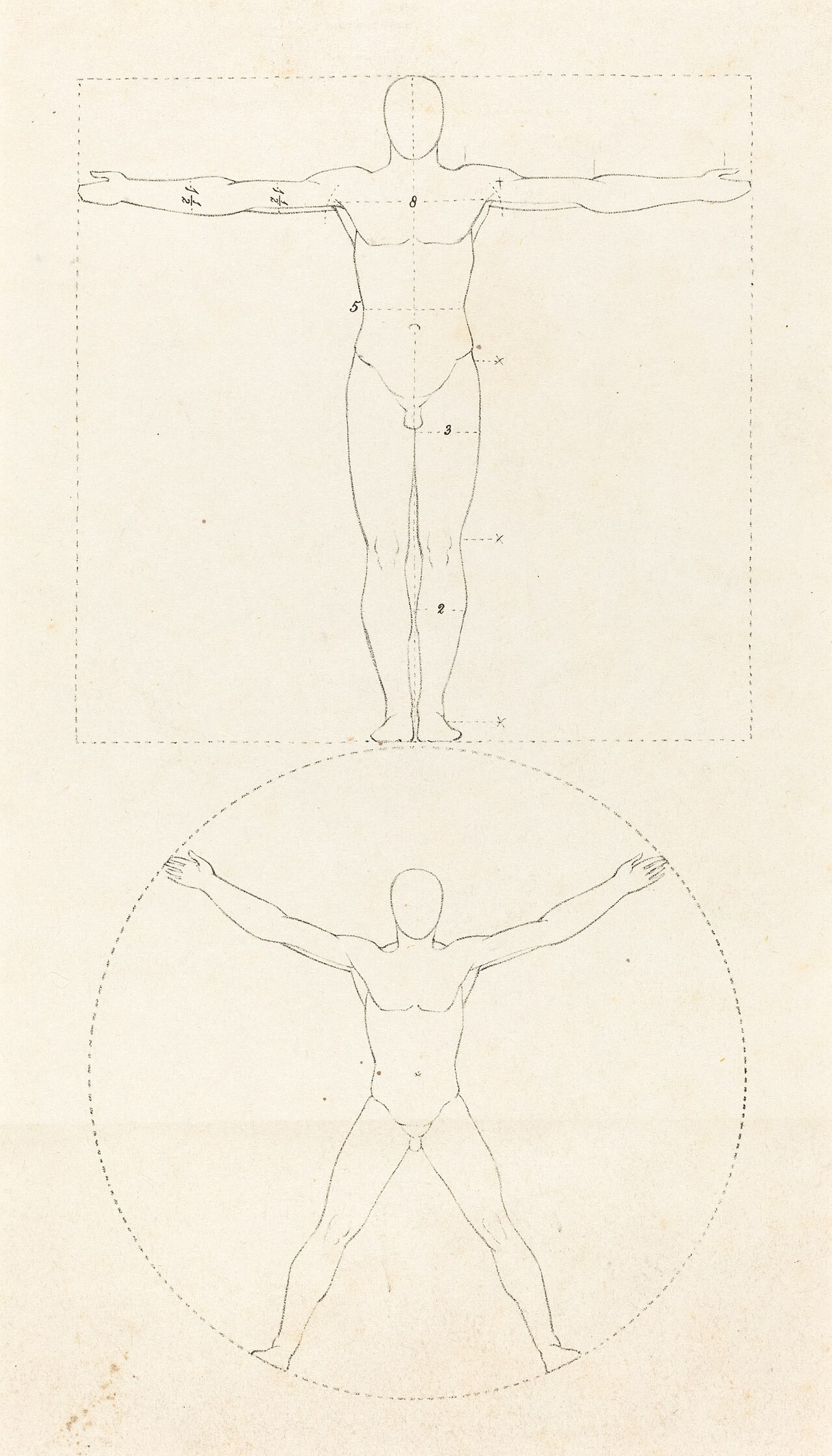 Circle and Square of the Human Figure by George Johann Scharf