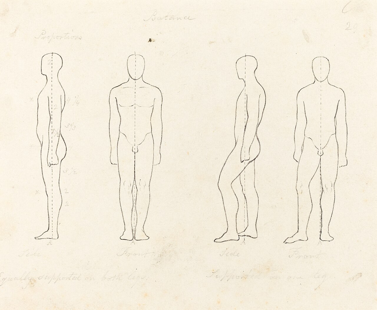 Extent of Motion, Front and Side View Equipoised, Supported on One Leg by George Johann Scharf