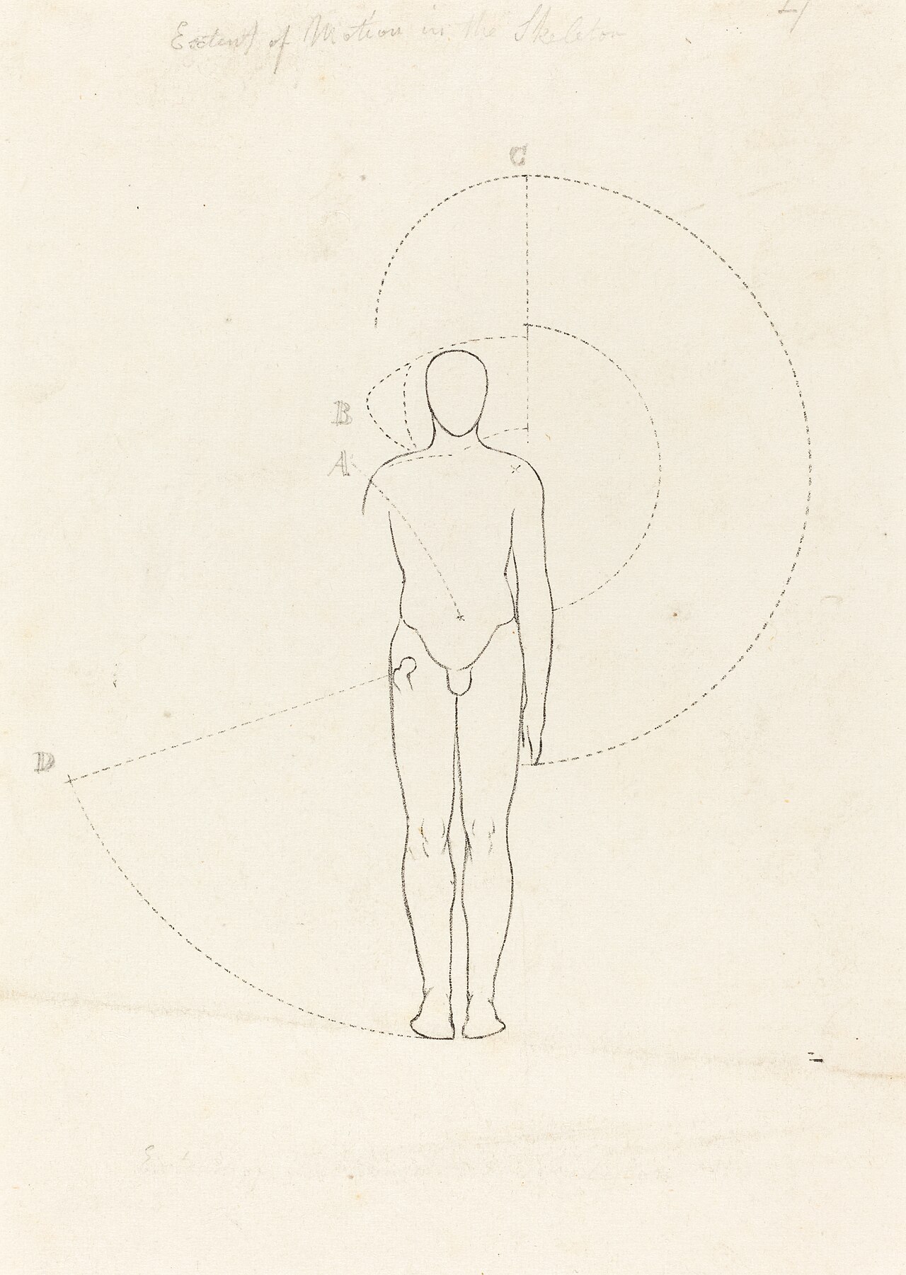 Extent of Motion, One Figure by George Johann Scharf