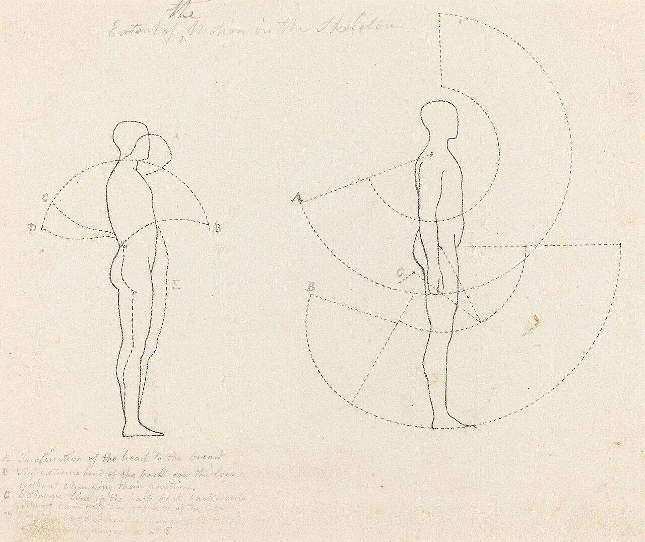Extent of Motion Shown in Two Figures by George Johann Scharf