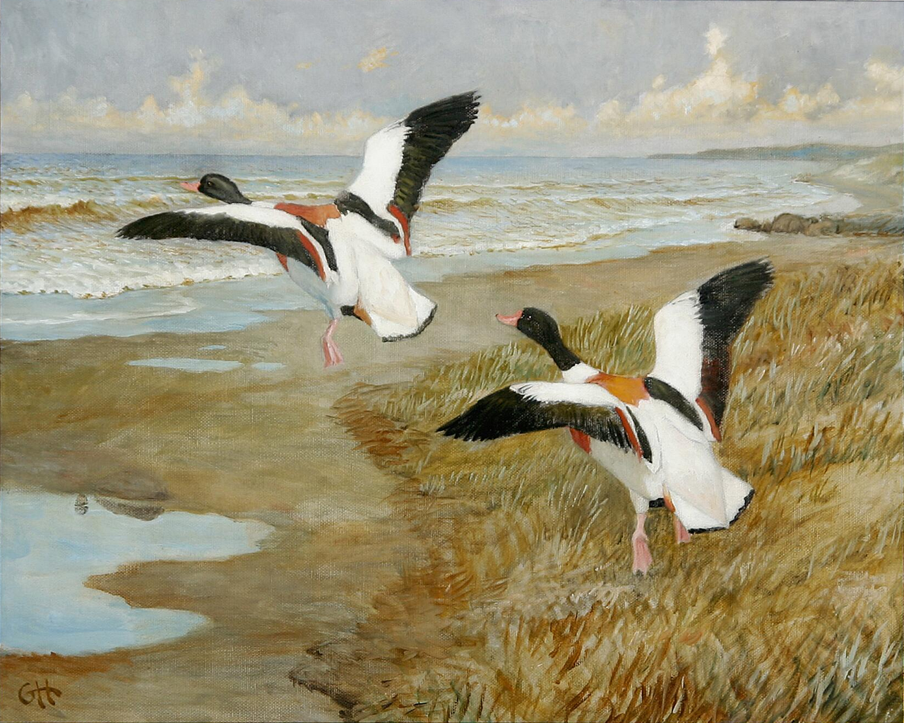 Landscape with two shelducks. by Gerhard Heilmann