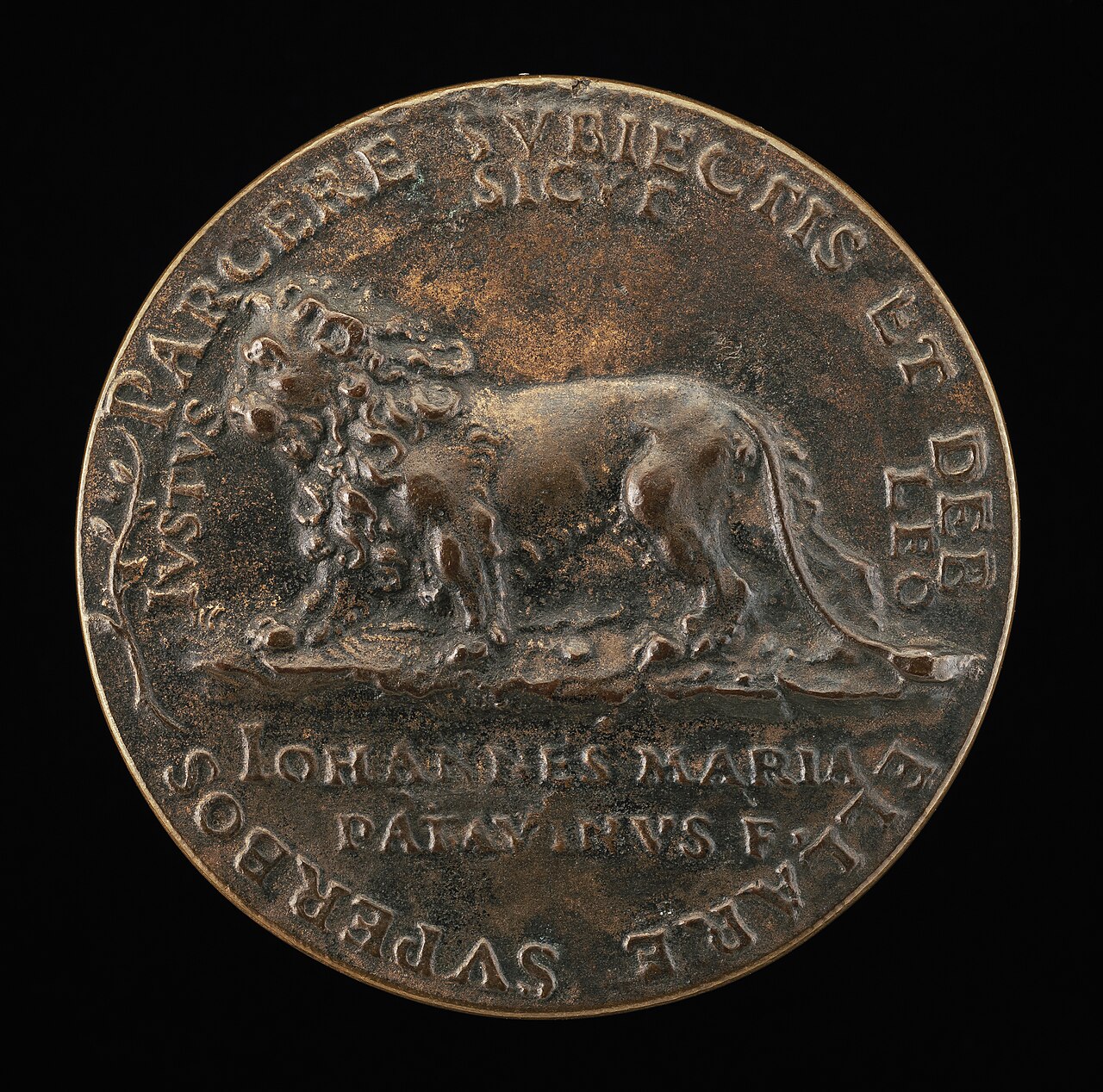 Lion [reverse] by Giammaria Mosca