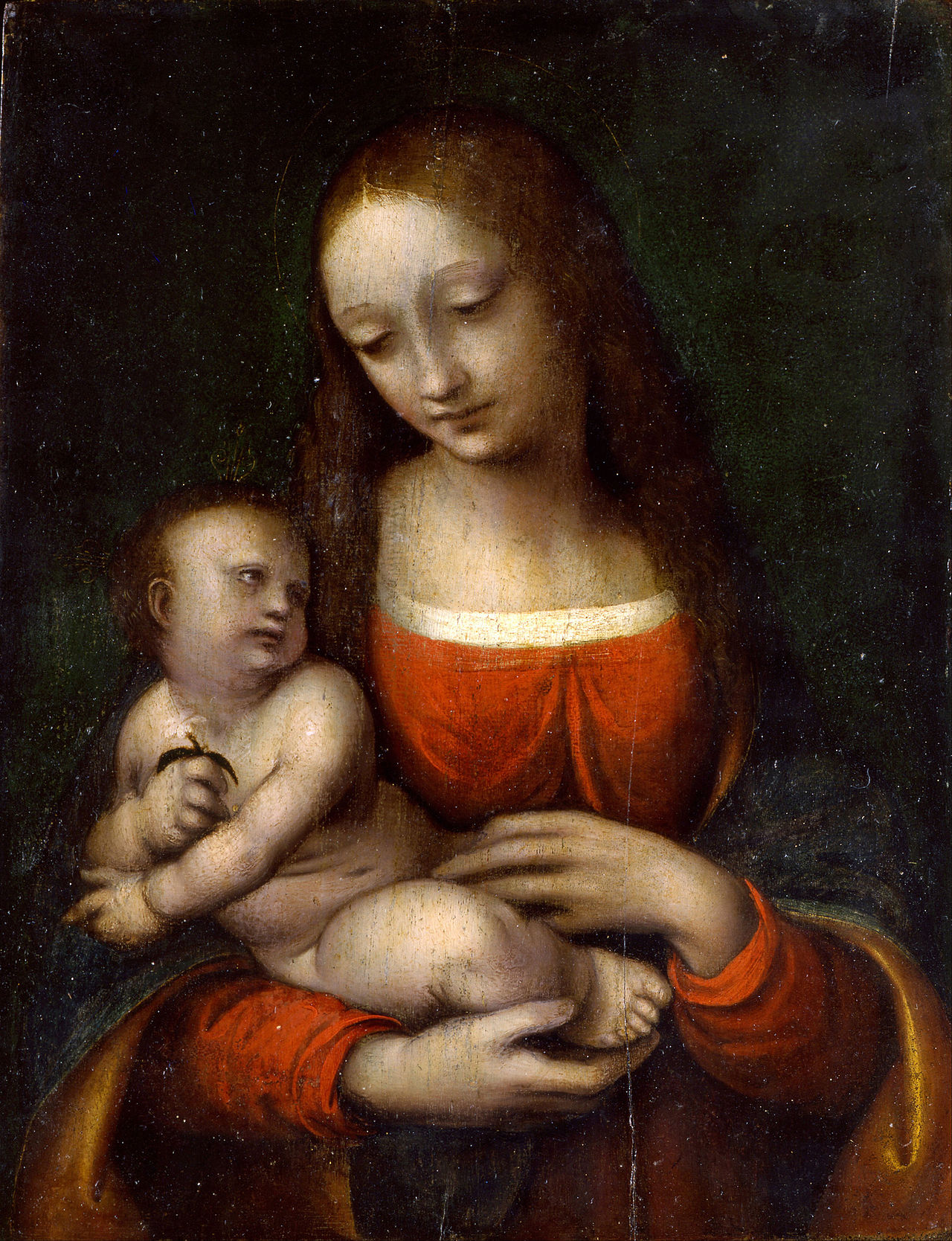 Portrait of Giampietrino